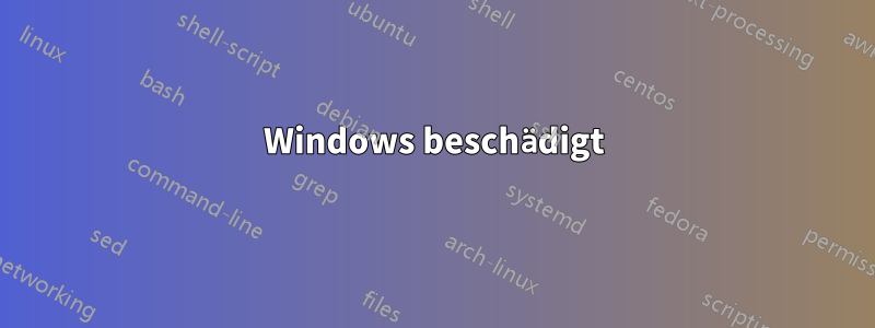 Windows beschädigt