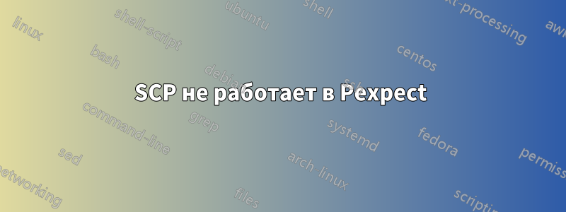 SCP не работает в Pexpect