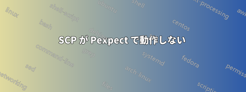 SCP が Pexpect で動作しない