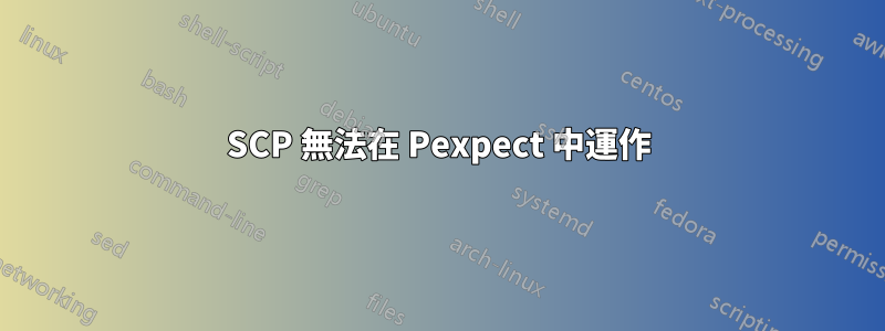 SCP 無法在 Pexpect 中運作