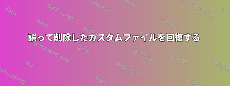 誤って削除したカスタムファイルを回復する