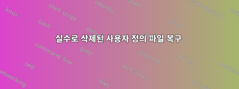 실수로 삭제된 사용자 정의 파일 복구