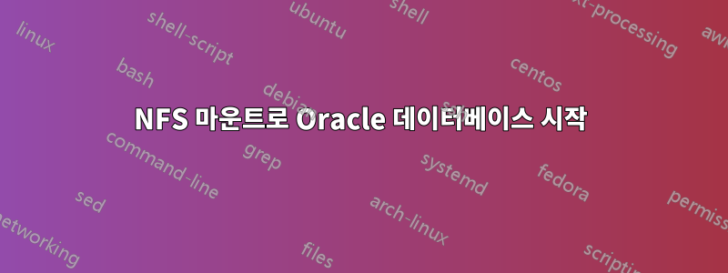 NFS 마운트로 Oracle 데이터베이스 시작