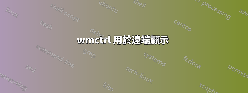 wmctrl 用於遠端顯示