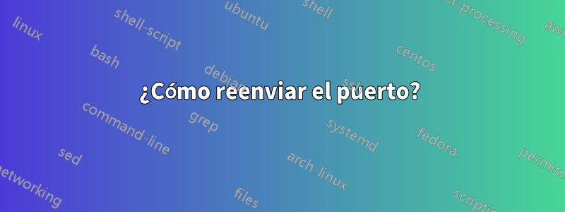 ¿Cómo reenviar el puerto?