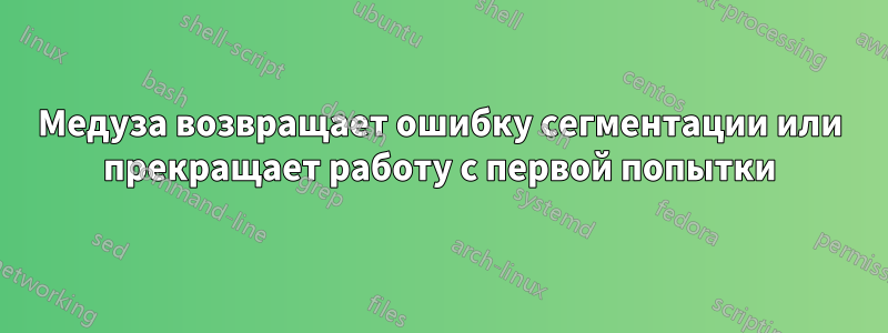 Медуза возвращает ошибку сегментации или прекращает работу с первой попытки