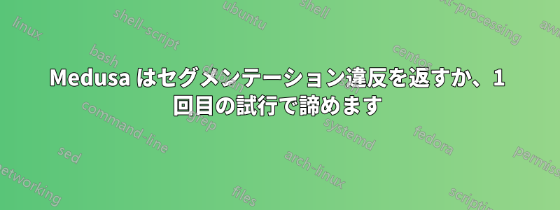 Medusa はセグメンテーション違反を返すか、1 回目の試行で諦めます