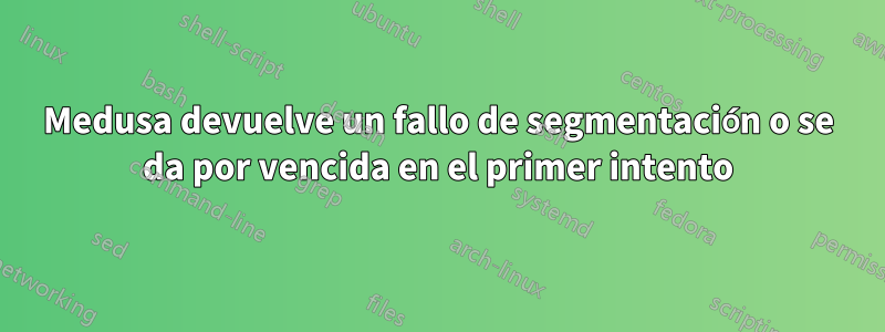 Medusa devuelve un fallo de segmentación o se da por vencida en el primer intento