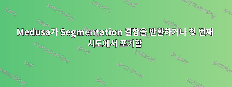 Medusa가 Segmentation 결함을 반환하거나 첫 번째 시도에서 포기함