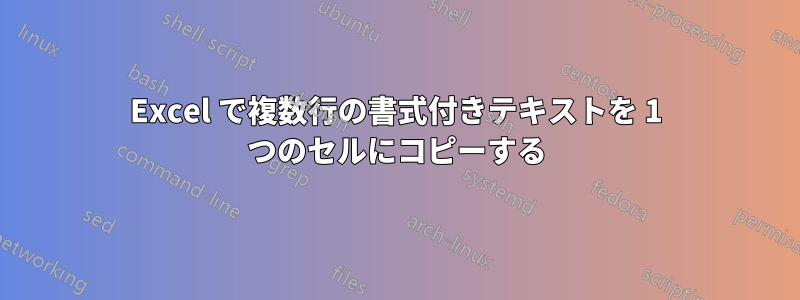 Excel で複数行の書式付きテキストを 1 つのセルにコピーする