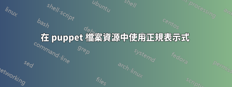 在 puppet 檔案資源中使用正規表示式