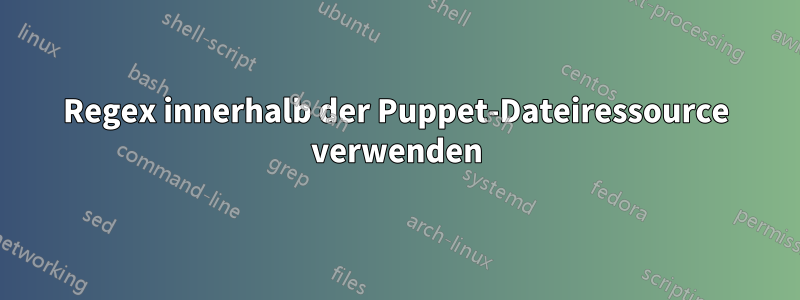 Regex innerhalb der Puppet-Dateiressource verwenden