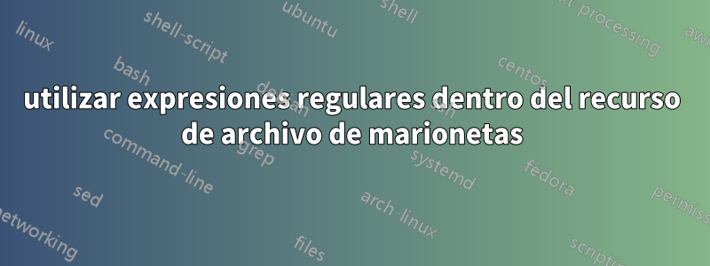 utilizar expresiones regulares dentro del recurso de archivo de marionetas