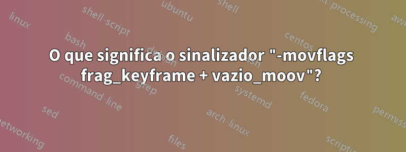 O que significa o sinalizador "-movflags frag_keyframe + vazio_moov"?