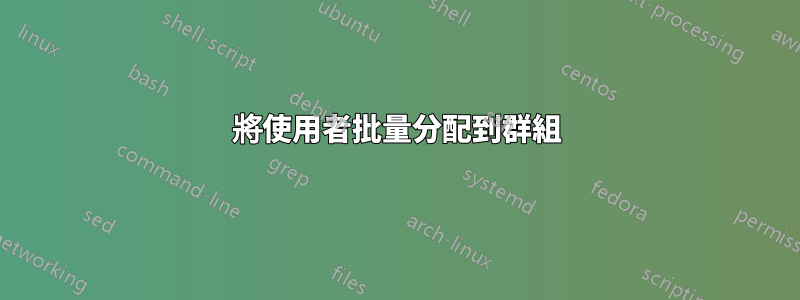 將使用者批量分配到群組