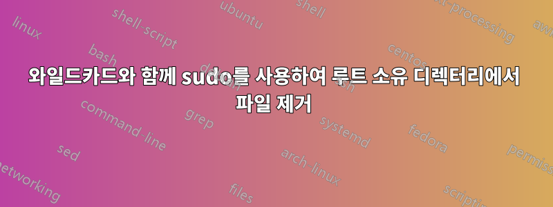 와일드카드와 함께 sudo를 사용하여 루트 소유 디렉터리에서 파일 제거