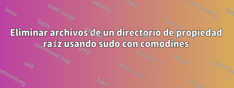 Eliminar archivos de un directorio de propiedad raíz usando sudo con comodines