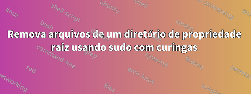 Remova arquivos de um diretório de propriedade raiz usando sudo com curingas