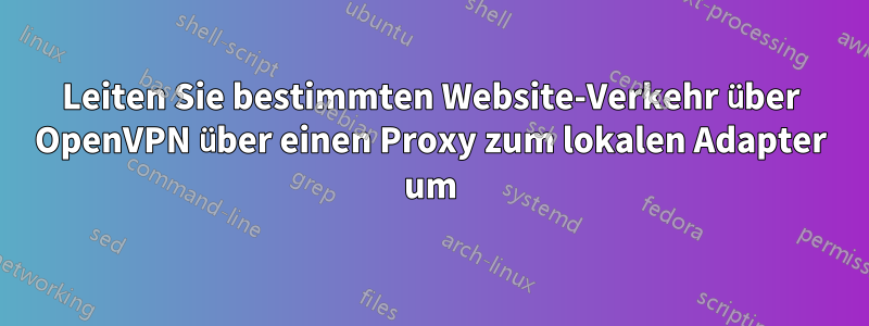 Leiten Sie bestimmten Website-Verkehr über OpenVPN über einen Proxy zum lokalen Adapter um