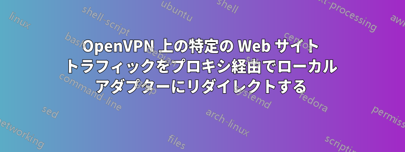 OpenVPN 上の特定の Web サイト トラフィックをプロキシ経由でローカル アダプターにリダイレクトする