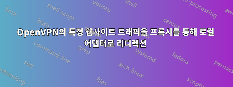 OpenVPN의 특정 웹사이트 트래픽을 프록시를 통해 로컬 어댑터로 리디렉션