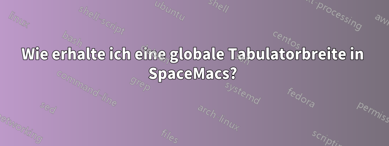 Wie erhalte ich eine globale Tabulatorbreite in SpaceMacs?