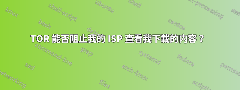 TOR 能否阻止我的 ISP 查看我下載的內容？ 
