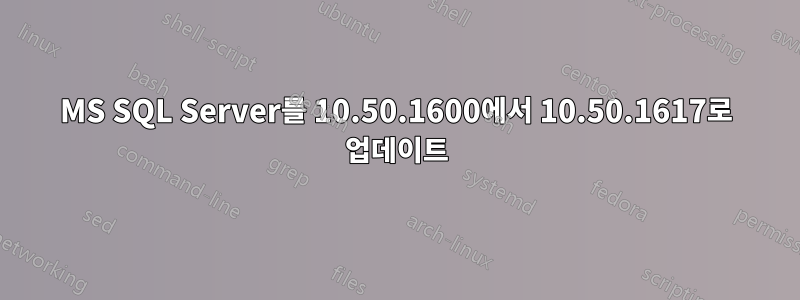 MS SQL Server를 10.50.1600에서 10.50.1617로 업데이트