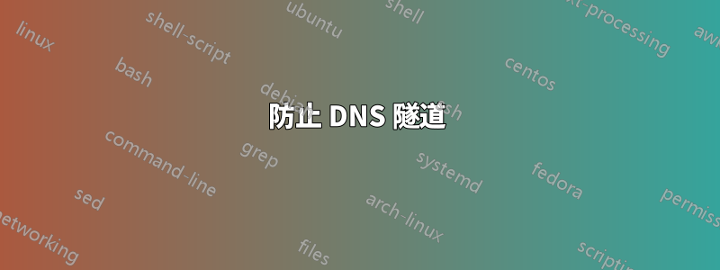 防止 DNS 隧道