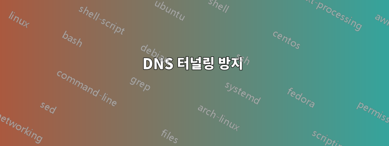DNS 터널링 방지