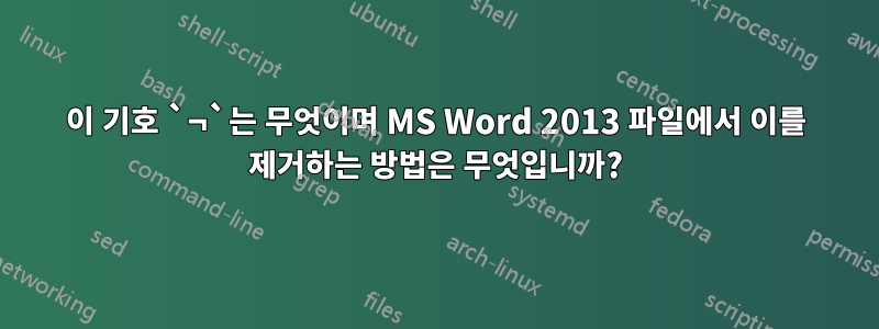 이 기호 `¬`는 무엇이며 MS Word 2013 파일에서 이를 제거하는 방법은 무엇입니까?