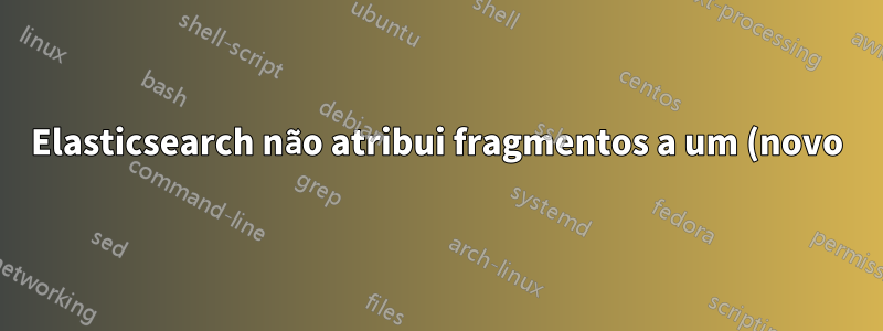 Elasticsearch não atribui fragmentos a um (novo) nó