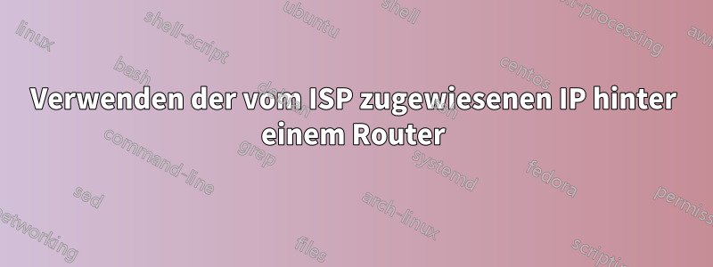 Verwenden der vom ISP zugewiesenen IP hinter einem Router