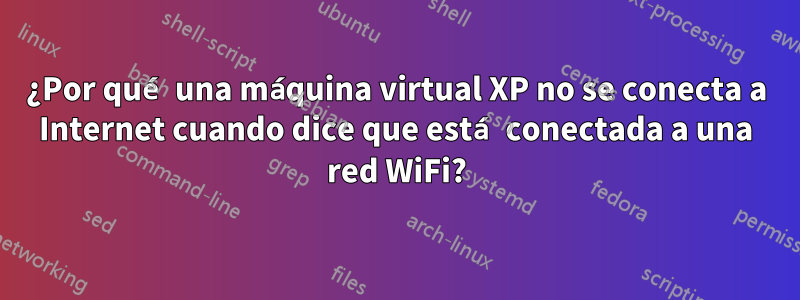 ¿Por qué una máquina virtual XP no se conecta a Internet cuando dice que está conectada a una red WiFi?