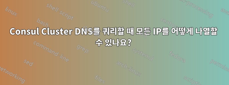 Consul Cluster DNS를 쿼리할 때 모든 IP를 어떻게 나열할 수 있나요?