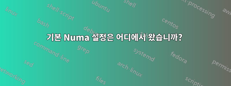 기본 Numa 설정은 어디에서 왔습니까?