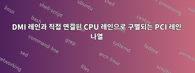 DMI 레인과 직접 연결된 CPU 레인으로 구별되는 PCI 레인 나열