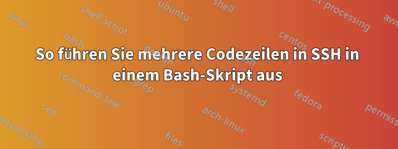 So führen Sie mehrere Codezeilen in SSH in einem Bash-Skript aus