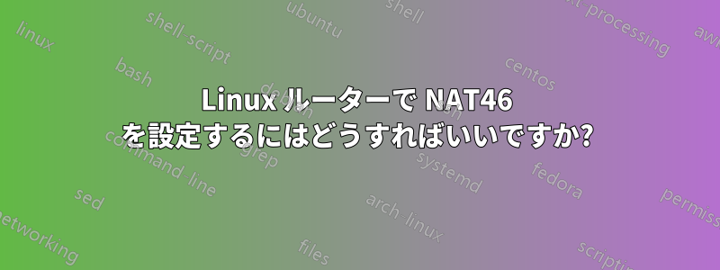 Linux ルーターで NAT46 を設定するにはどうすればいいですか?