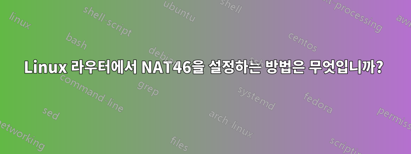 Linux 라우터에서 NAT46을 설정하는 방법은 무엇입니까?