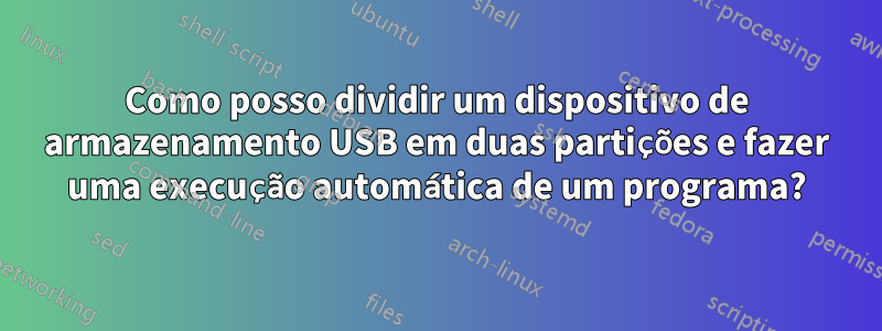 Como posso dividir um dispositivo de armazenamento USB em duas partições e fazer uma execução automática de um programa?