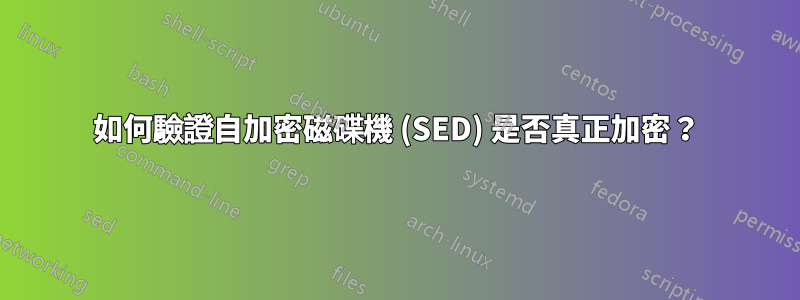 如何驗證自加密磁碟機 (SED) 是否真正加密？