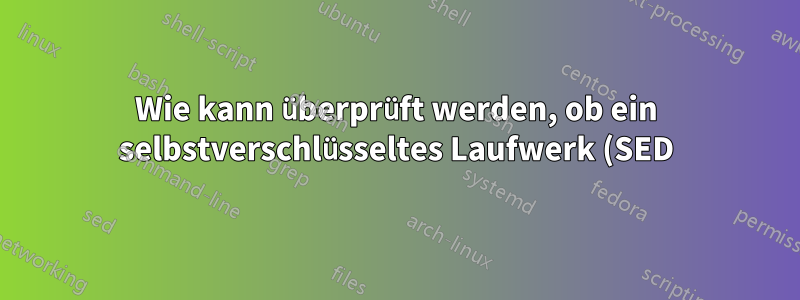 Wie kann überprüft werden, ob ein selbstverschlüsseltes Laufwerk (SED) wirklich verschlüsselt ist?