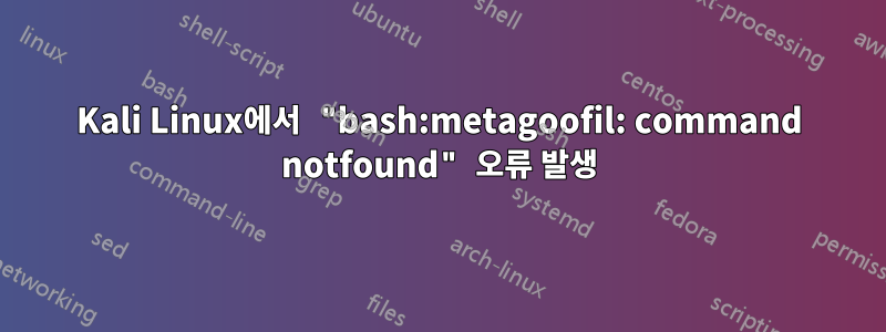 Kali Linux에서 "bash:metagoofil: command notfound" 오류 발생