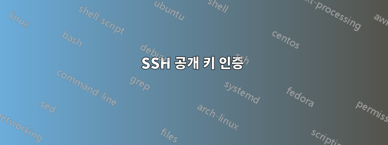 SSH 공개 키 인증