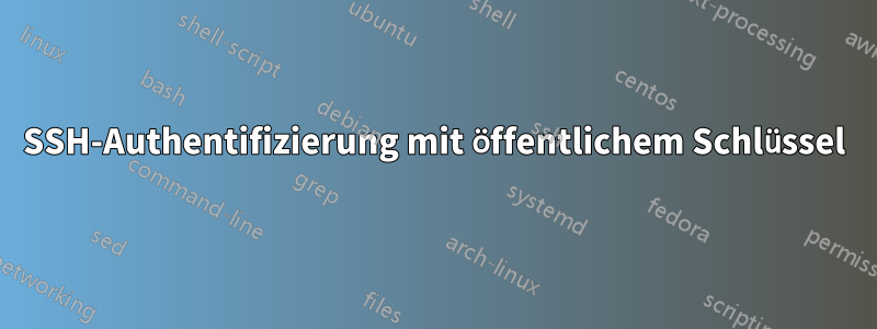 SSH-Authentifizierung mit öffentlichem Schlüssel