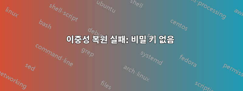 이중성 복원 실패: 비밀 키 없음