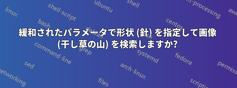 緩和されたパラメータで形状 (針) を指定して画像 (干し草の山) を検索しますか?