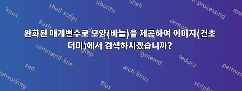 완화된 매개변수로 모양(바늘)을 제공하여 이미지(건초 더미)에서 검색하시겠습니까?