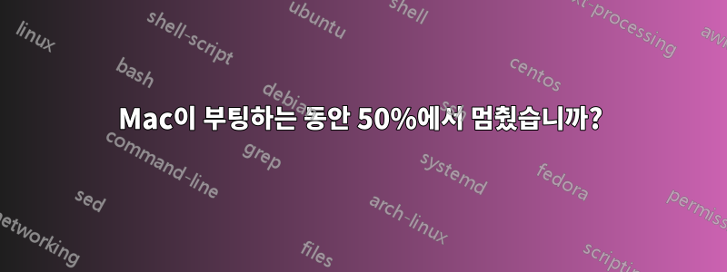 Mac이 부팅하는 동안 50%에서 멈췄습니까?